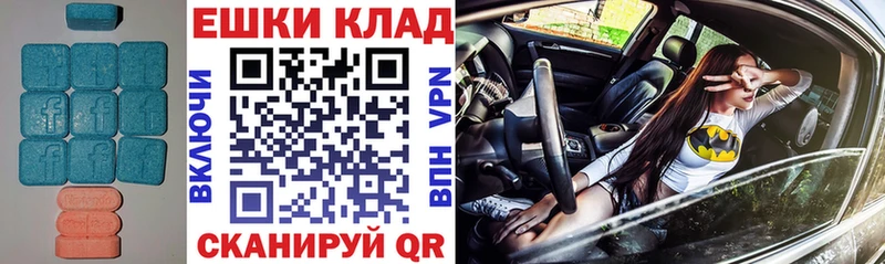 Купить закладки  Ессентукская  ЭКСТАЗИ TESLA 