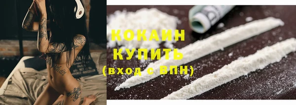 сатива Володарск