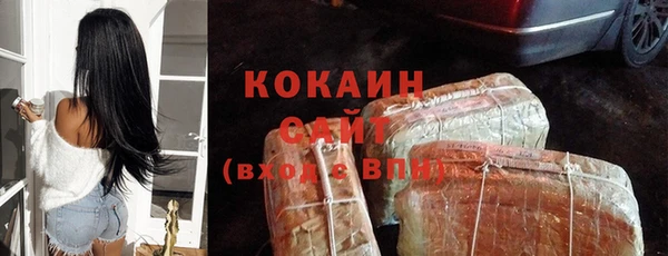 сатива Володарск