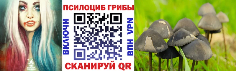 Купить где  Ессентукская  Галлюциногенные грибы Magic Shrooms 