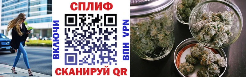 Марихуана семена  Купить где  Ессентукская 